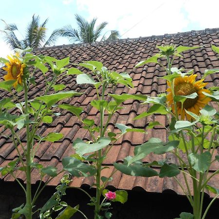 Ming Homestay Sidemen  Ngoại thất bức ảnh
