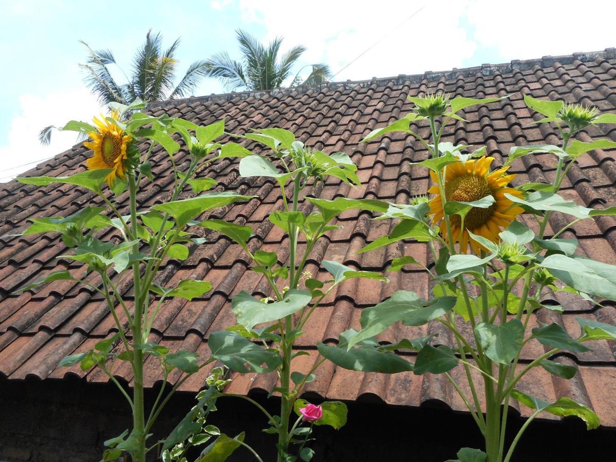 Ming Homestay Sidemen  Ngoại thất bức ảnh