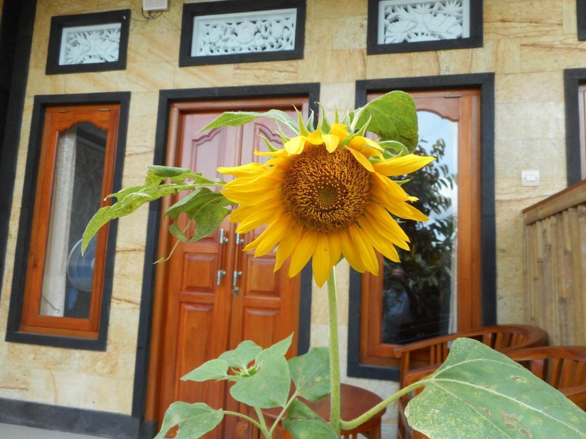 Ming Homestay Sidemen  Ngoại thất bức ảnh