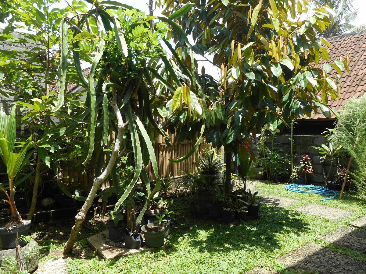 Ming Homestay Sidemen  Ngoại thất bức ảnh