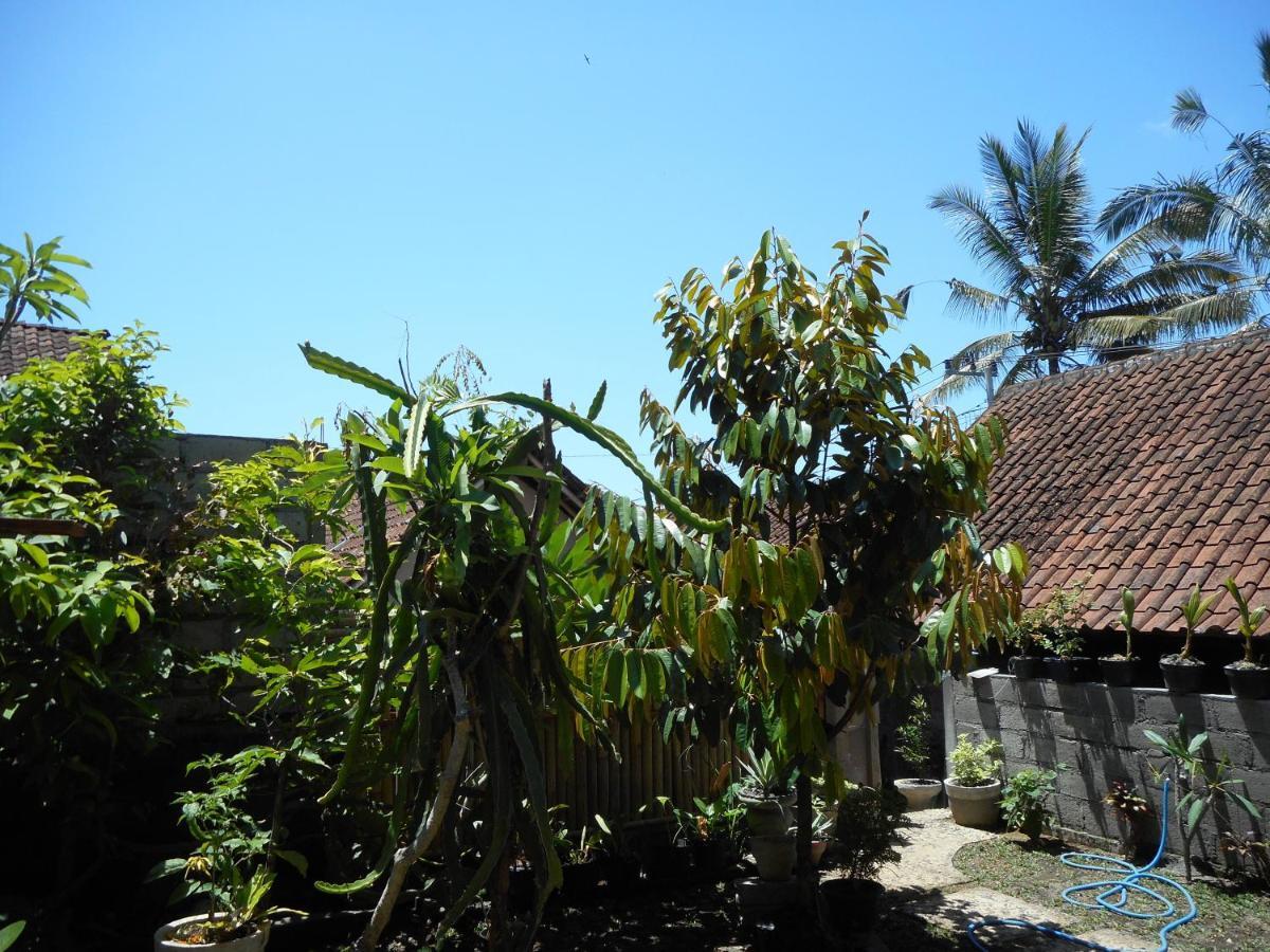 Ming Homestay Sidemen  Ngoại thất bức ảnh
